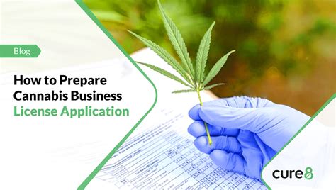 How To Prepare A Cannabis Business License Application Cure8