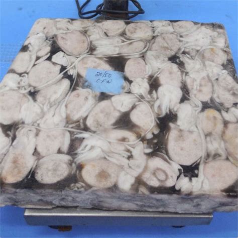 Indian Vannamei Prawns Shelf Life: 1-3 Months at Best Price in Baleshwar | Abodos Marine Exports ...