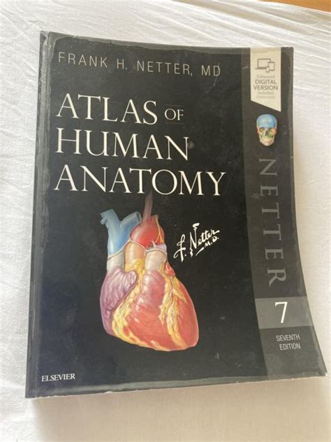 Atlas Of Human Anatomy Netter 7th Edition