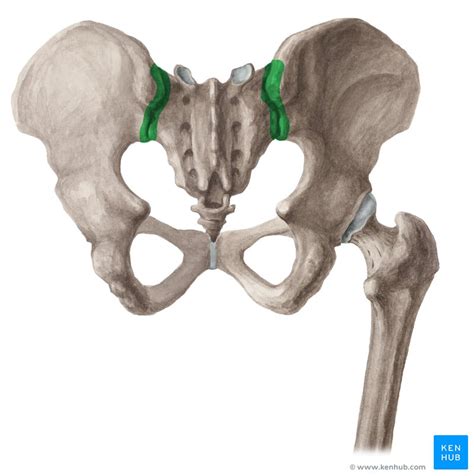 Sacroiliac Joint Stretch