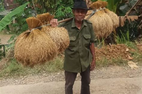 Cara Leuit Menghadapi Krisis Pangan Kabar Alam