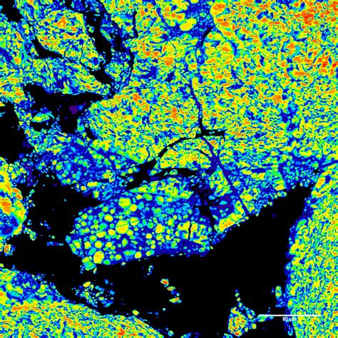 Imaging Carbon Forms and Petroleum Coke – Pearson Coal Petrography