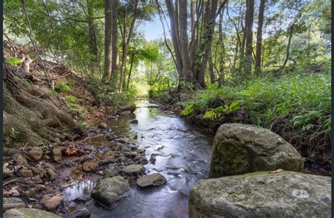 Byron Hinterland Near The Beach Hipcamp In Newrybar New South Wales