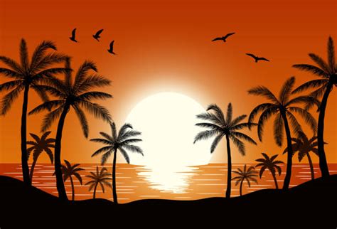 130 Shadow Palm Trees Tropical Beach Cartoon Stock Illustrations