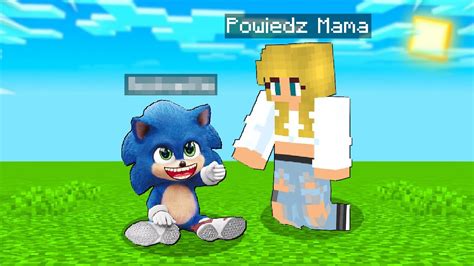 UCZĘ MÓWIĆ BABY SONIC w Minecraft YouTube