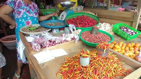 Cuaca Ekstrem Harga Rica Kembali Naik Di Kotamobagu Sulawesi Utara