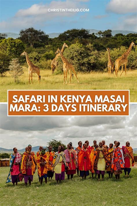 Kenya Masai Mara: 3 Days Conservation Safari