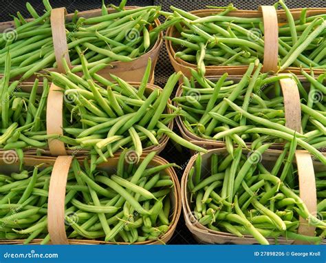 Baskets Of Green Beans Stock Photo Image Of Fresh Basket 27898206