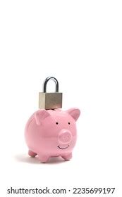 1,070 Piggy Bank Lock Stock Photos, Images & Photography | Shutterstock