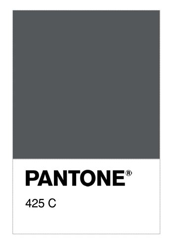 Pantone 425c Tech Company Logos