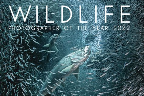 L Ouvrage Wildlife Photographer Of The Year 2022