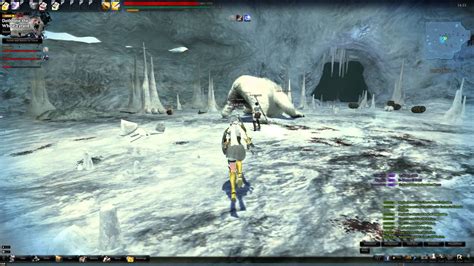 Vindictus Polar Bear Fight Youtube