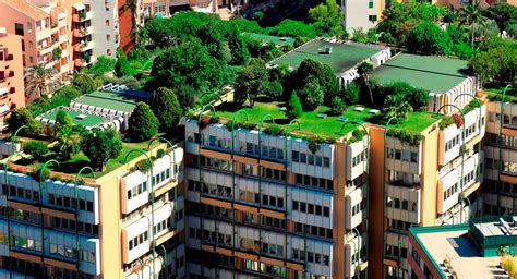 Green Roofs Green Infrastructure Ontario