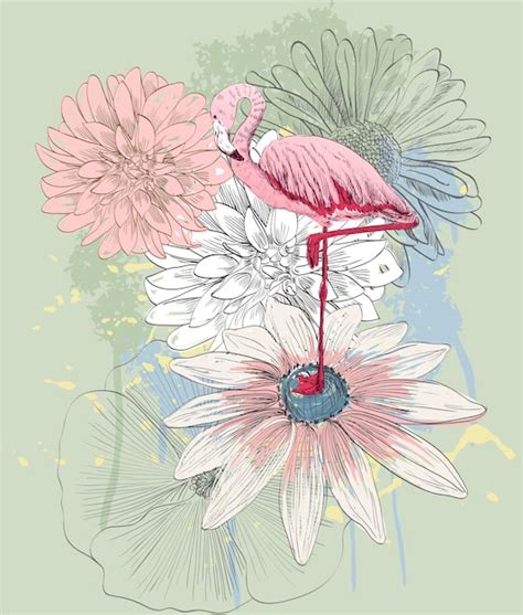 Premium Vector Flamingo Vector Illustration