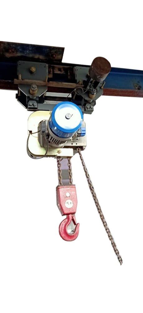 Indef P Type Chain Pulley Block Capacity 5 Ton At Rs 16950 In Bhilai