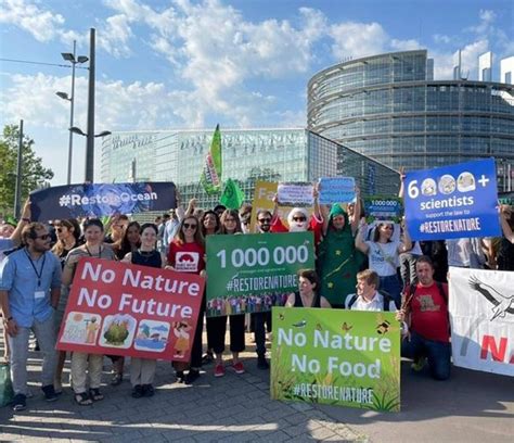 Lei De Restauro Da Natureza Aprovada No Parlamento Europeu Mais Ribatejo