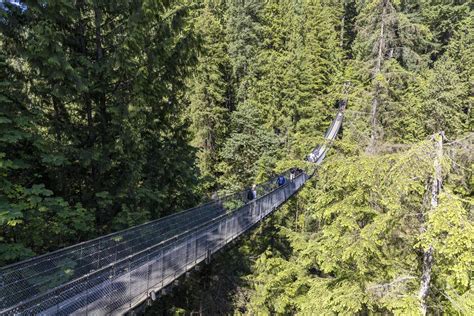 Capilano Suspension Bridge 17153866 Stock Photo at Vecteezy