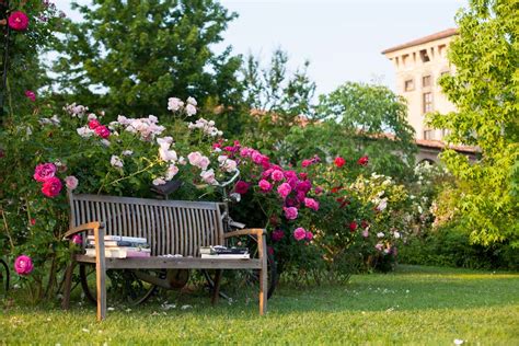 Fronte Retro Di Massimo Citi Ficcare Il Naso Nel Giardino Del Vicino