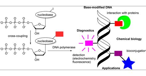 DNA Synthesis Technologies To Close The Gene Writing Gap