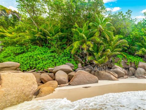 Rocks And Palm Trees In Famous Anse Georgette Beach In Praslin Island