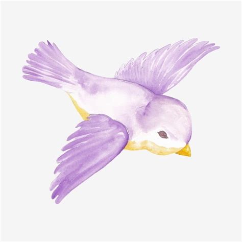 Little Bird Vector Design Images, Little Bird Watercolor Illustration ...