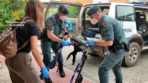 Covid 19 El Gran Servicio De La Guardia Civil En El Medio Rural La