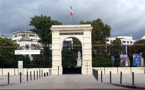 Maisons Alfort lécole véto visitée par des experts internationaux