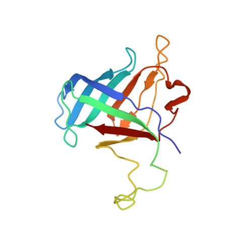 Rcsb Pdb Twh Rna Polymerase Ii Complexed With Datp