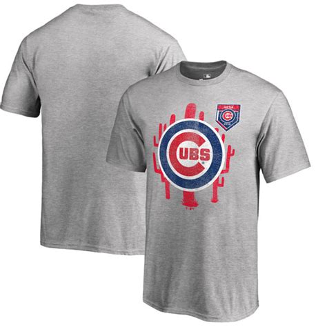 Chicago Cubs Spring Training Gift Guide