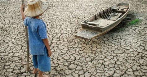 Aumento Dos Efeitos Da Mudan As Clim Ticas S O Alarmantes