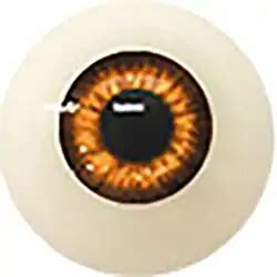 Cm Ft Cartoon Ebony Silicon Sex Doll Yokotani Yukiko