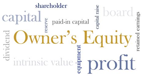 Owners Equity Balance Sheet Components Part 3 Rubeana