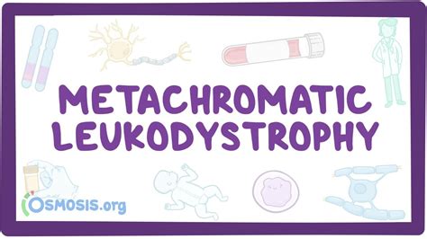 Metachromatic Leukodystrophy Nord Video Anatomy Osmosis