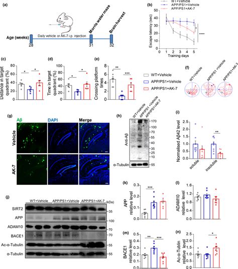 Inhibition Of Sirt Activity Ameliorates Adassociated Pathology In