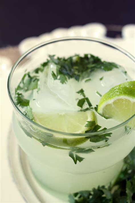 Cilantro Vodka Limeade Fresh And Fine Food Fanatic