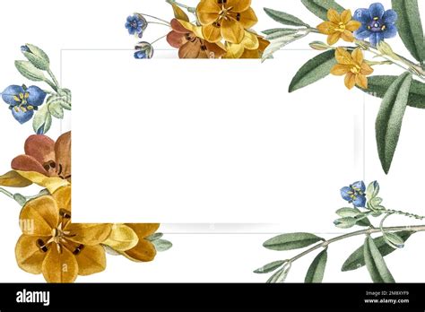 Floral Rectangle Frame Design Vector Stock Vector Image Art Alamy