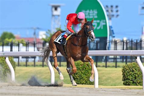 【川崎11r・初陣賞】アジアミッション逃走v！― スポニチ Sponichi Annex ギャンブル