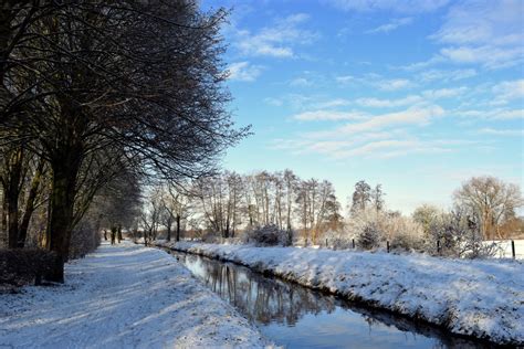 Banco De Imagens Panorama árvore Agua Horizonte Ramo Neve Nuvem