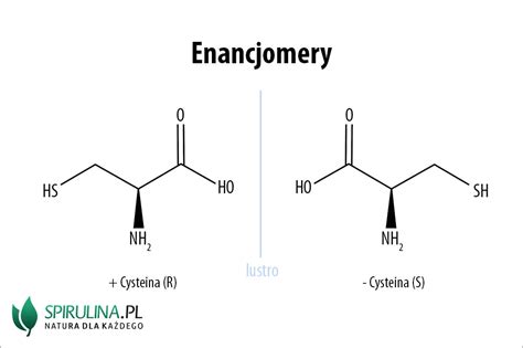 Enancjomery Algi Spirulina I Chlorella