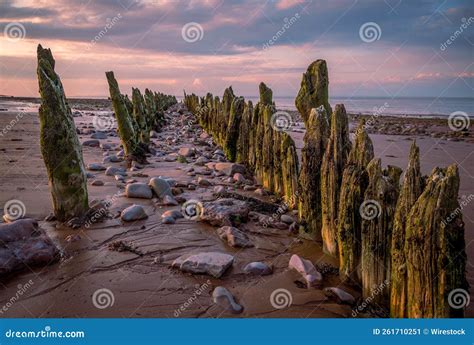 Line of Wooden Groins at Sunset Dunster Beach, Bristol Channel Stock ...