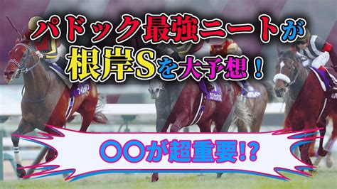 【根岸s 2023 予想】〇〇が大事！必見根岸sの特徴！ニートの根岸ステークス競馬予想 ニート 競馬予想 パドック 根岸s Youtube