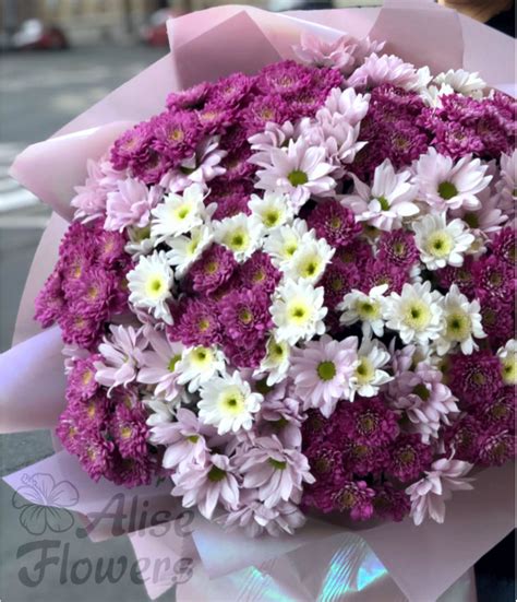 Доставка цветов СПБ. Купить цветы в Питере. Интернет магазин ALISE FLOWERS