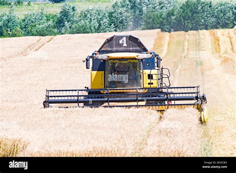 Harvester Machine To Harvest Wheat Field Working Combine Harvester