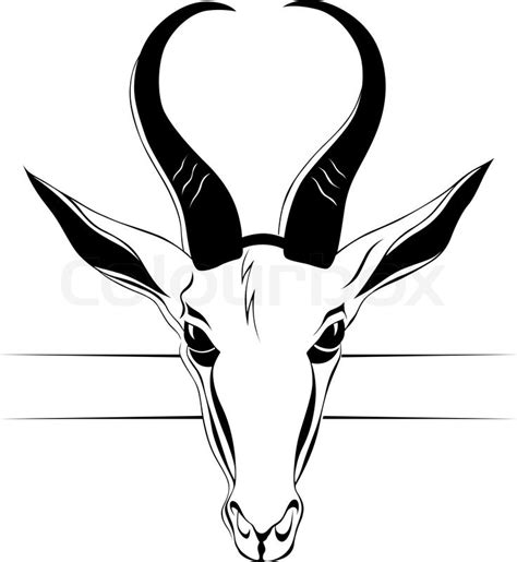 Antelope Head Drawing