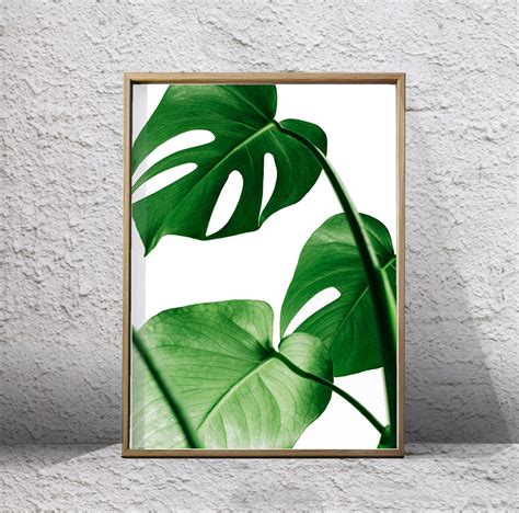 Botanical Prints Set Leaf Wall Art Tropical Leaves Green Wall Etsy