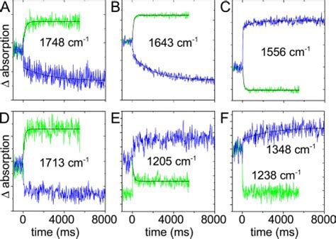 Time Resolved Ftir Difference Spectroscopy Changes Of Selected Ftir