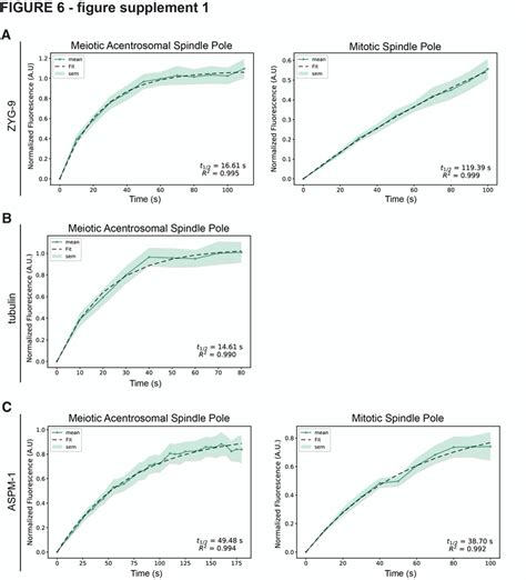 Figure Supplement 1 Frap Analysis With Fit Curves Download