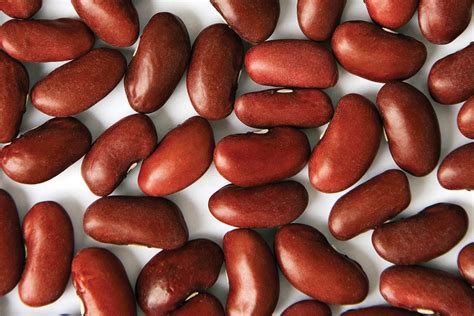 Dark Red Kidney Bean - Zursun Idaho Heirloom Beans