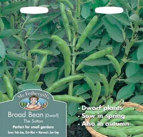 Mr Fothergills Pictorial Packet Vegetable Broad Bean The Sutton