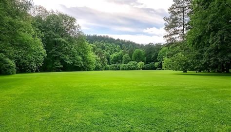 A field of green grass with trees in the background | Premium AI ...